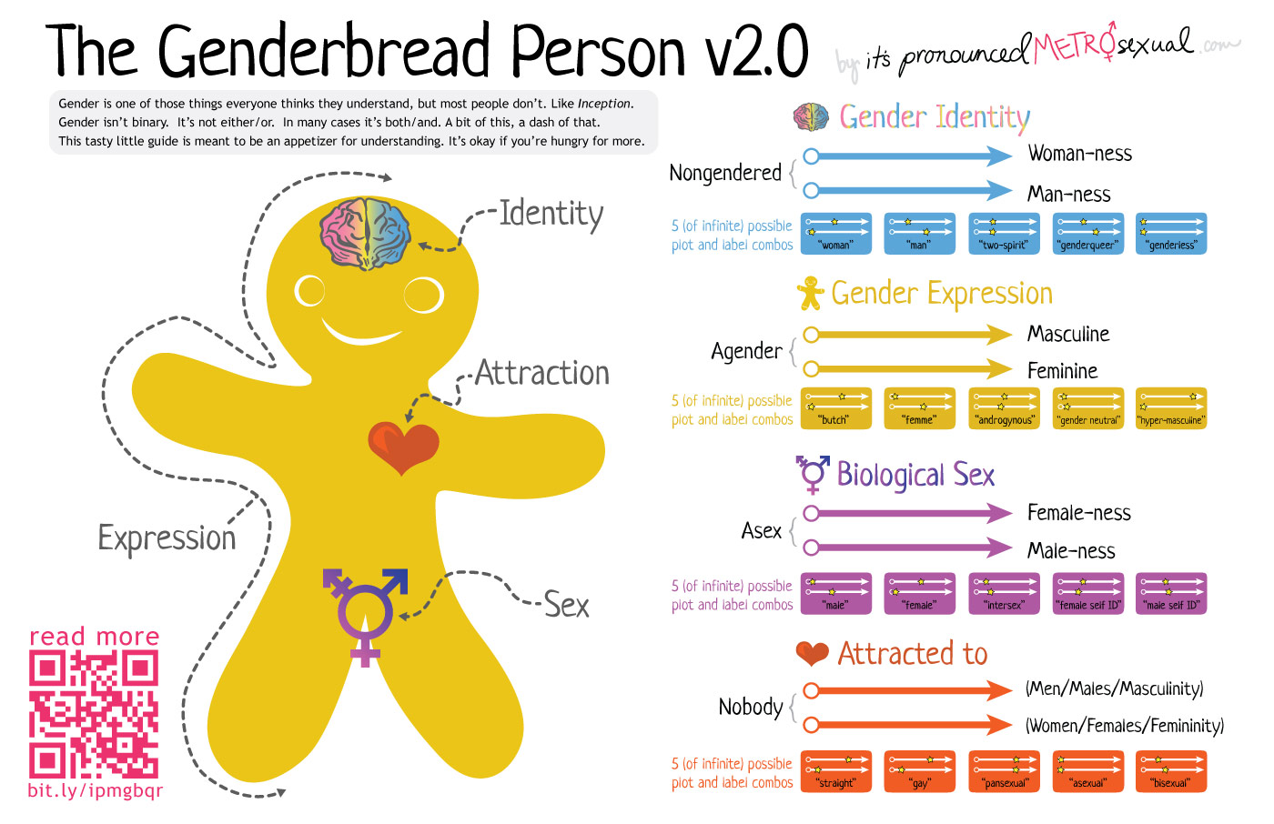 Image result for genderbread person 2.0